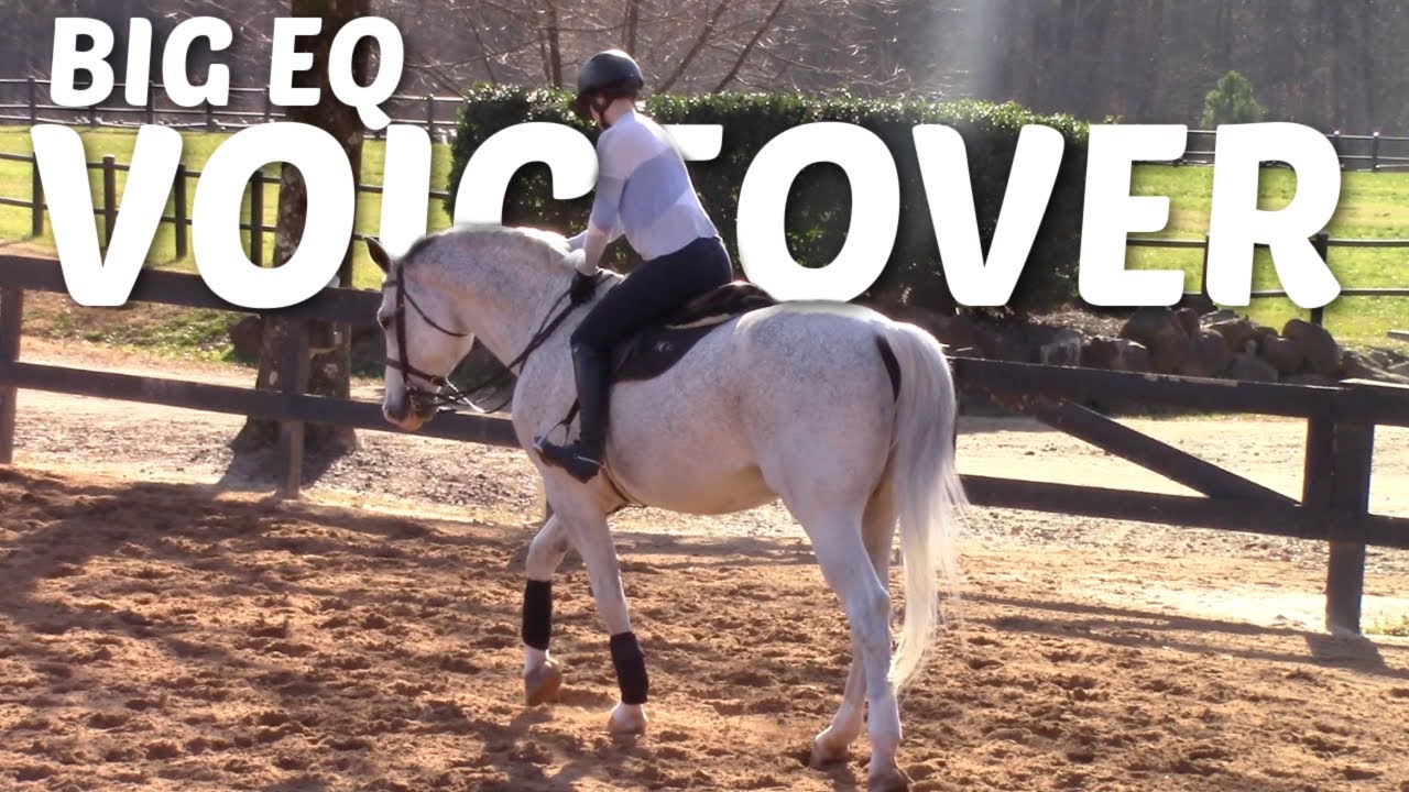 riding lesson voice over! | Big eq training