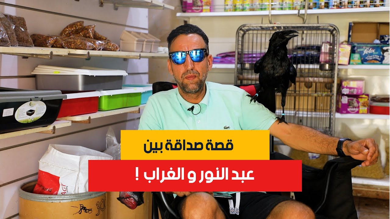 قصة صداقة بين عبد النور و الغراب !