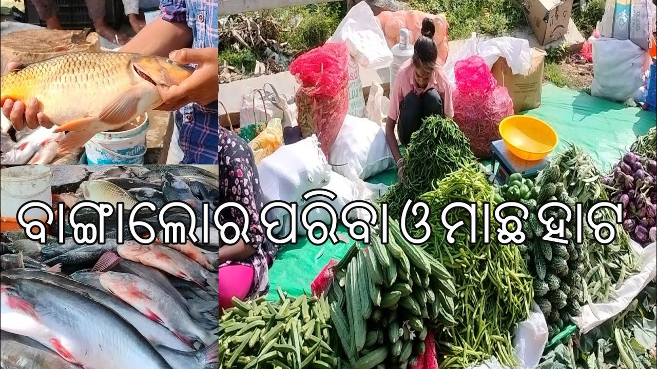 ବାଙ୍ଗାଲୋର ପରିବା ଓ ମାଛ ହାଟ | Bangalore pariba hata | daily market, Karnataka