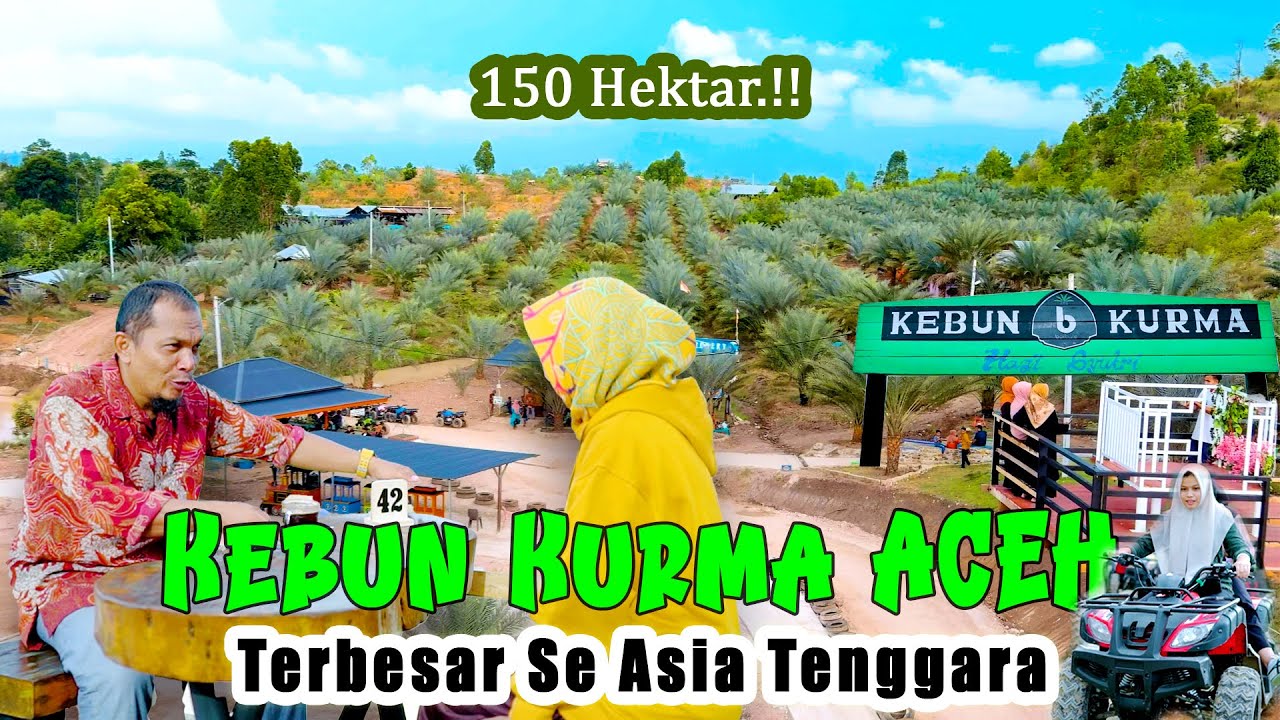 BARBATE - KEBUN KURMA ACEH TERBESAR DI ASIA TENGGARA