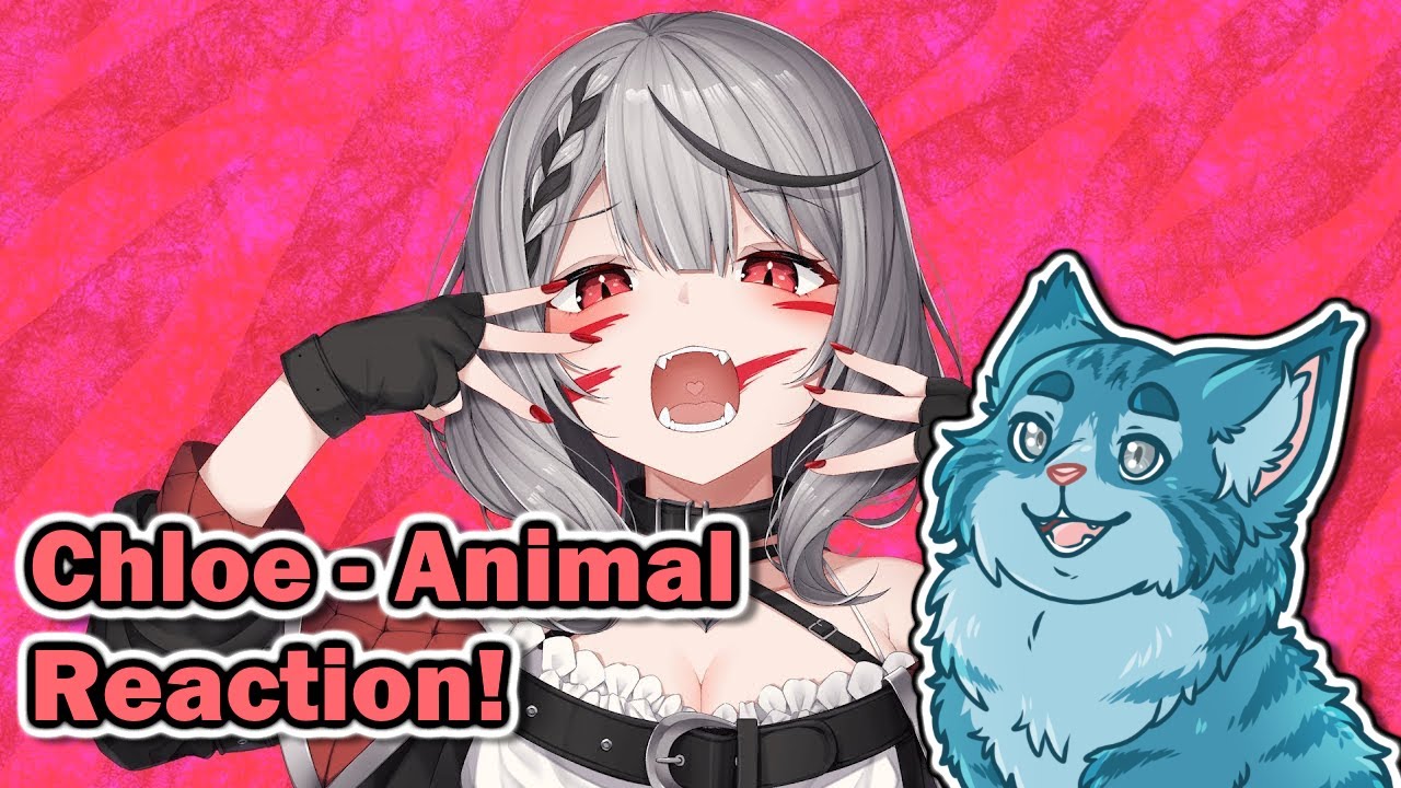 Moral Reacts! | Sakamata Chloe - アニマル / Animal Cover! [Hololive] | Moral Truth