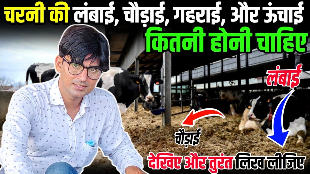 नाद यानी चरनी की लंबाई, चौड़ाई और ऊँचाई कितनी होनी चाहिए 🤏 🙏इसे लिख लेना (@SandeepDixitDairyFarm)