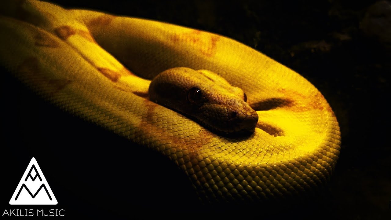 Base de Trap Uso Libre | Pista de Trap Uso libre (AkilisMusic - Serpiente Instrumental)