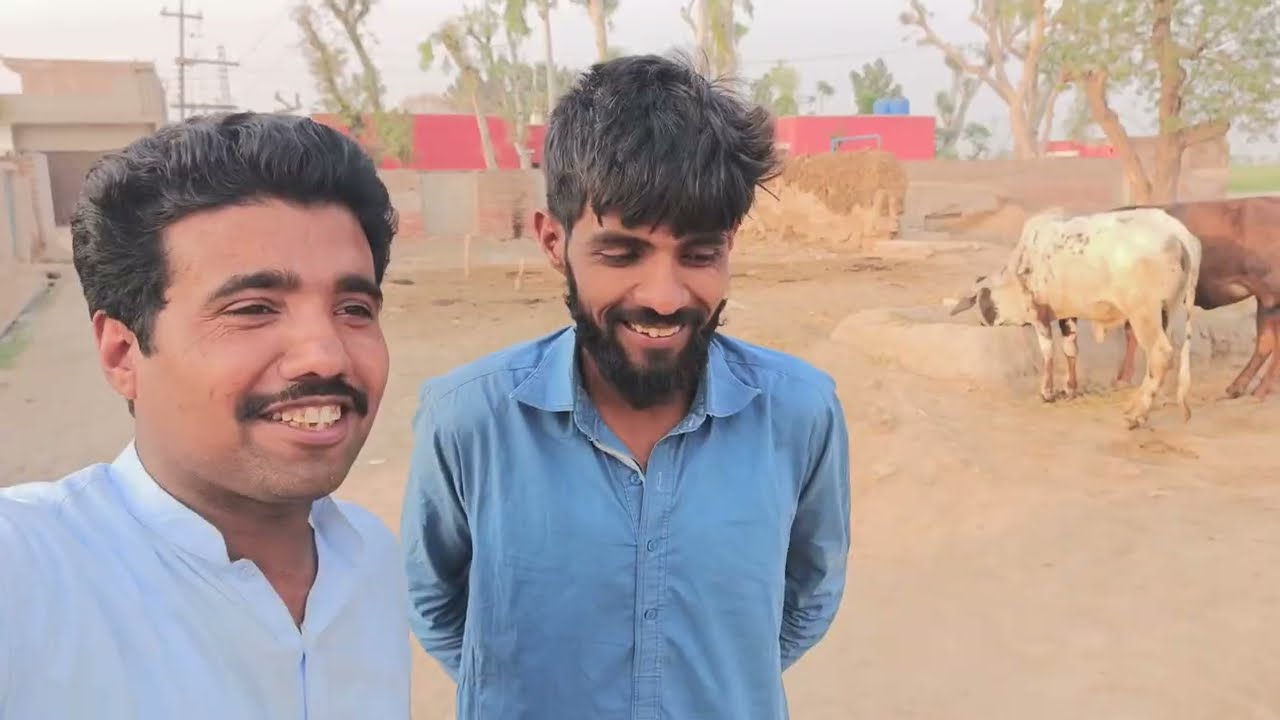 Mera pind 41/3r