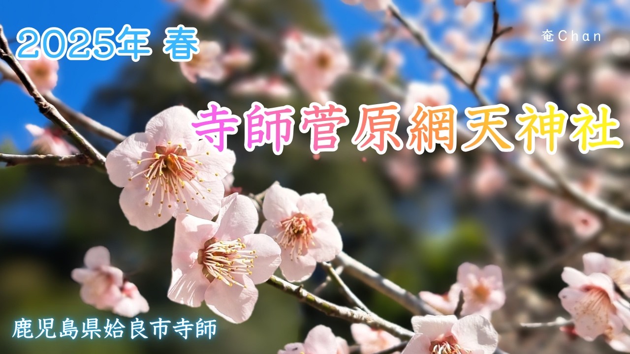 2025年 春　寺師菅原網天神社