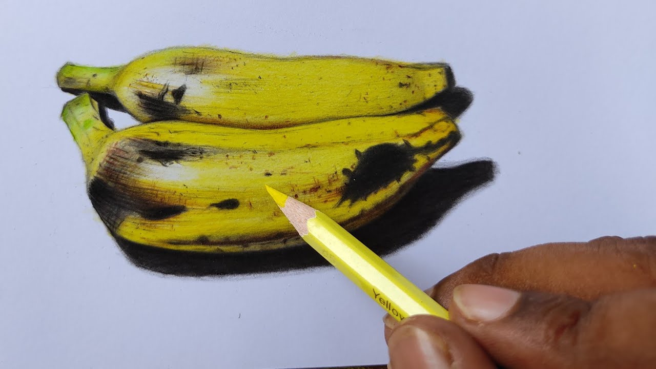 realistic banana drawing | coloured pencil drawing  |