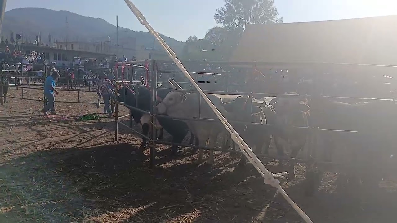 carnaval febrero lunes 16 años 2026
