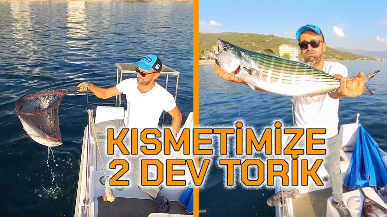 GEMLİK KÖRFEZİNDE DEV TORİK AVI