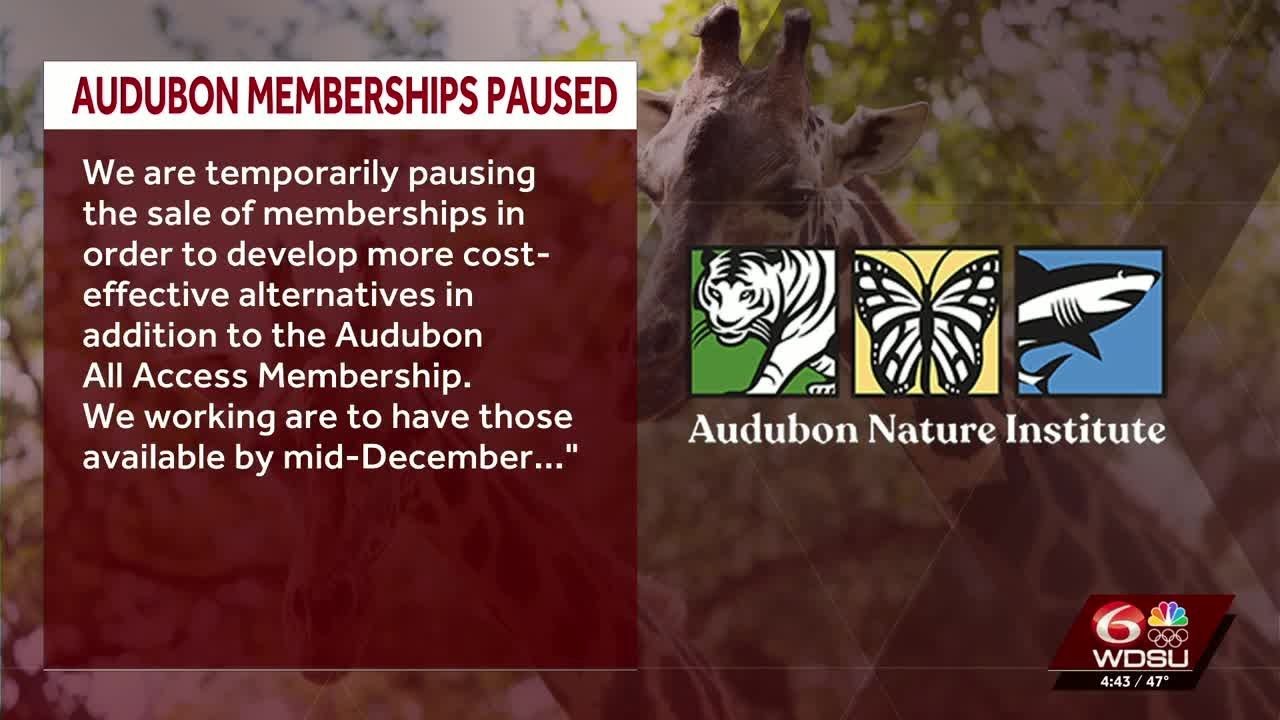 Audubon issues statement pausing plan to increase yearly membership prices