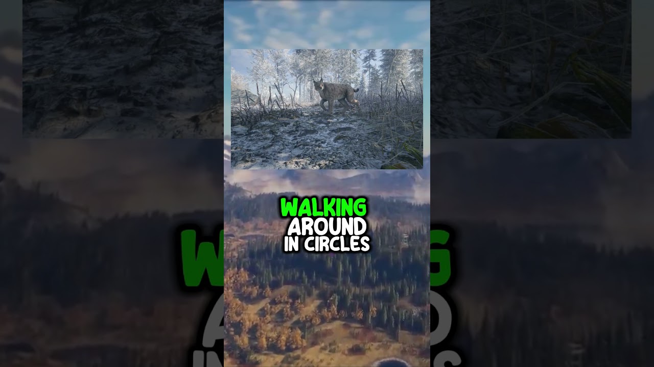 What Your Favourite TheHunter: Call of the Wild Animal Says About You
