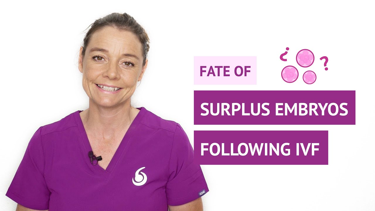 What happens to the excess unused embryos after an IVF treatment?