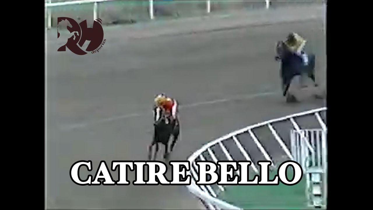 El triplecoronado CATIRE BELLO metió la recta en Clásico Ministerio de Agricultura y Cría año 1992.