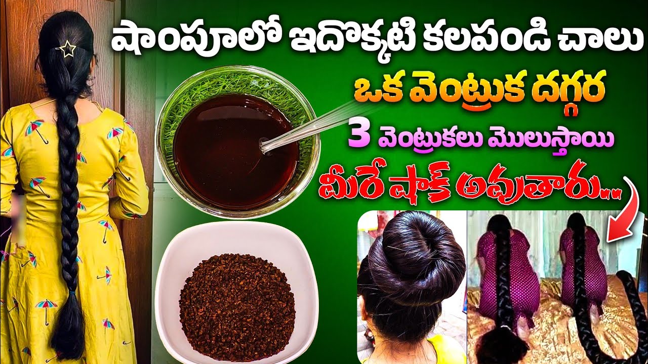 షాంపూలో ఇదొక్కటి కలపండి చాలు..ఒక వెంట్రుక దగ్గర 3 వెంట్రుకలు మొలుస్తాయి||Hair Growth With Tea Powder