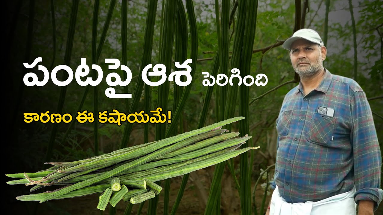 E431| కొద్ది స్థలంలోనే రకరకాల పంటలు సాగు చేస్తున్నా! |#gramabazaar | 94912 78836, 833 1800 100