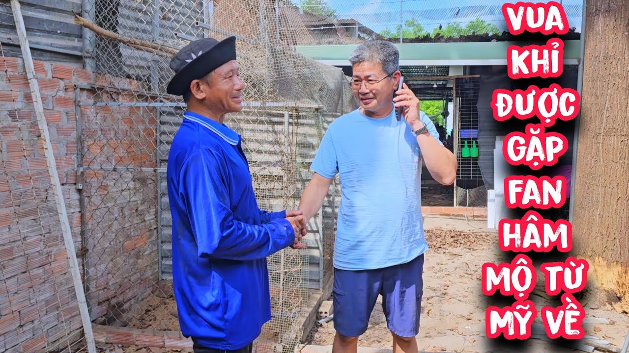 Quá nhiều điều bất ngờ !!! Vua khỉ cưa hạ gốc cây Sao nằm trong nhà (Phần 1/2)...