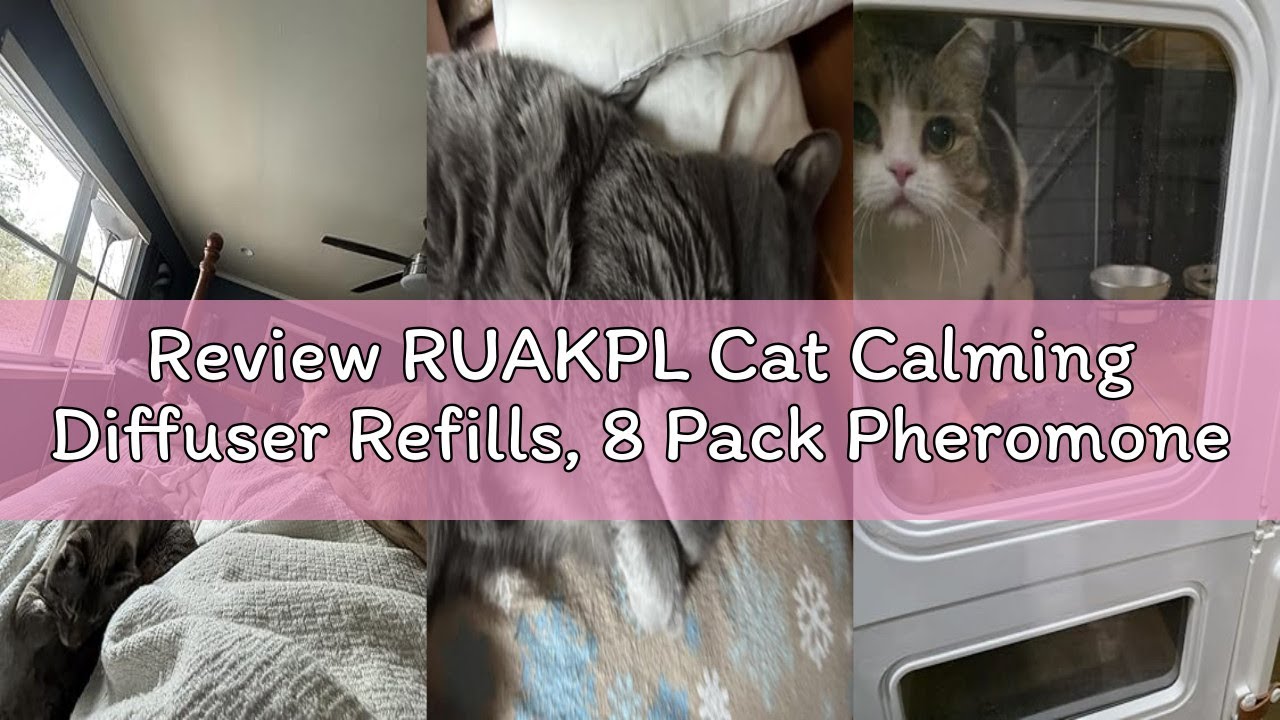 Review RUAKPL Cat Calming Diffuser Refills, 8 Pack Pheromones for Cats Refill Long-Lasting 240-Day S