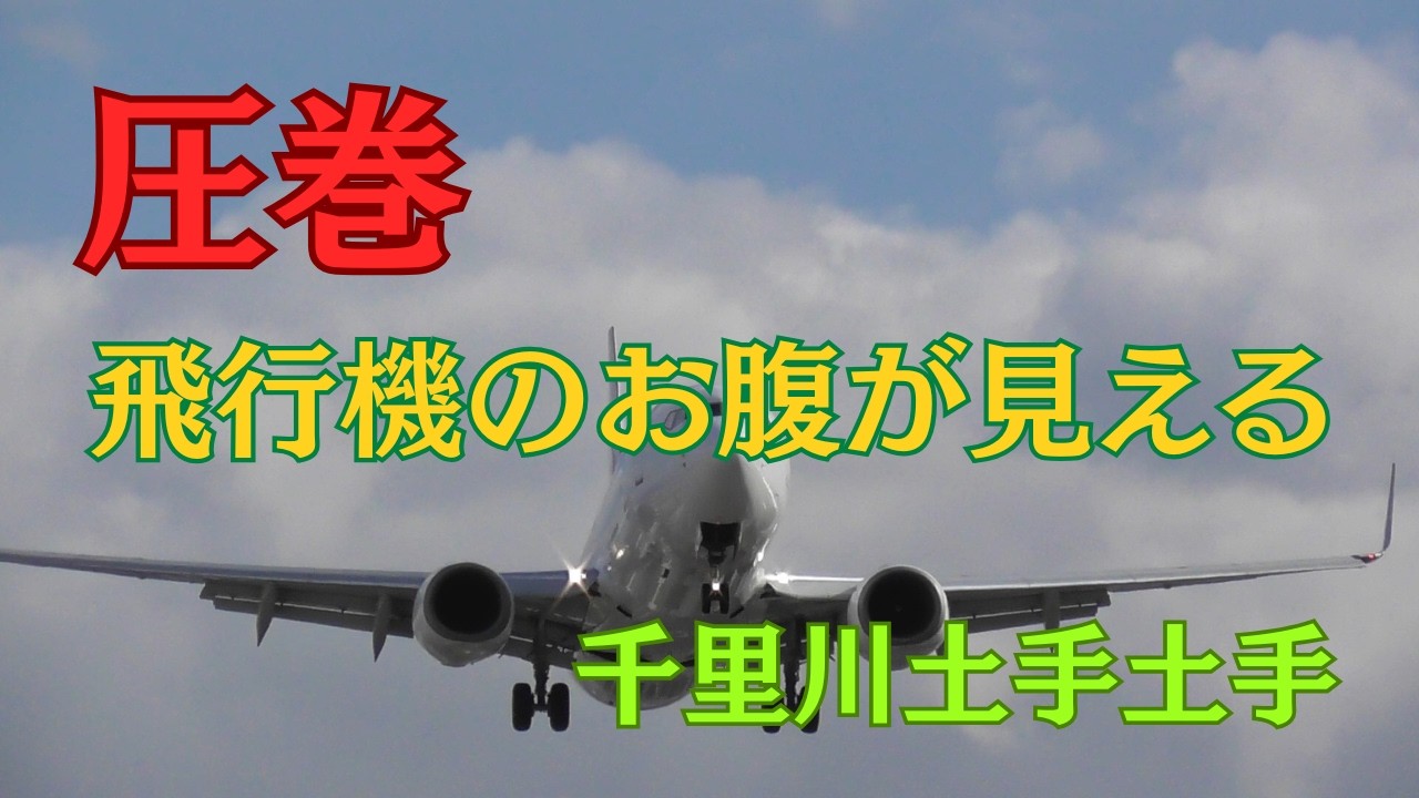 圧巻👀‼️飛行機✈️のお腹が見える・千里川の土手から撮影