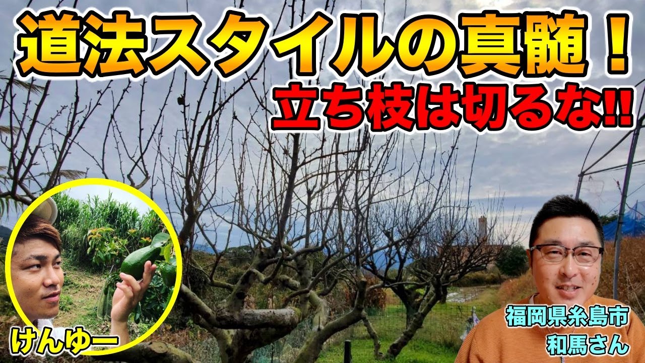 【道法スタイル】立ち枝は切るな！新芽と花の割合は7:3！【福岡県糸島市 和馬さん④】
