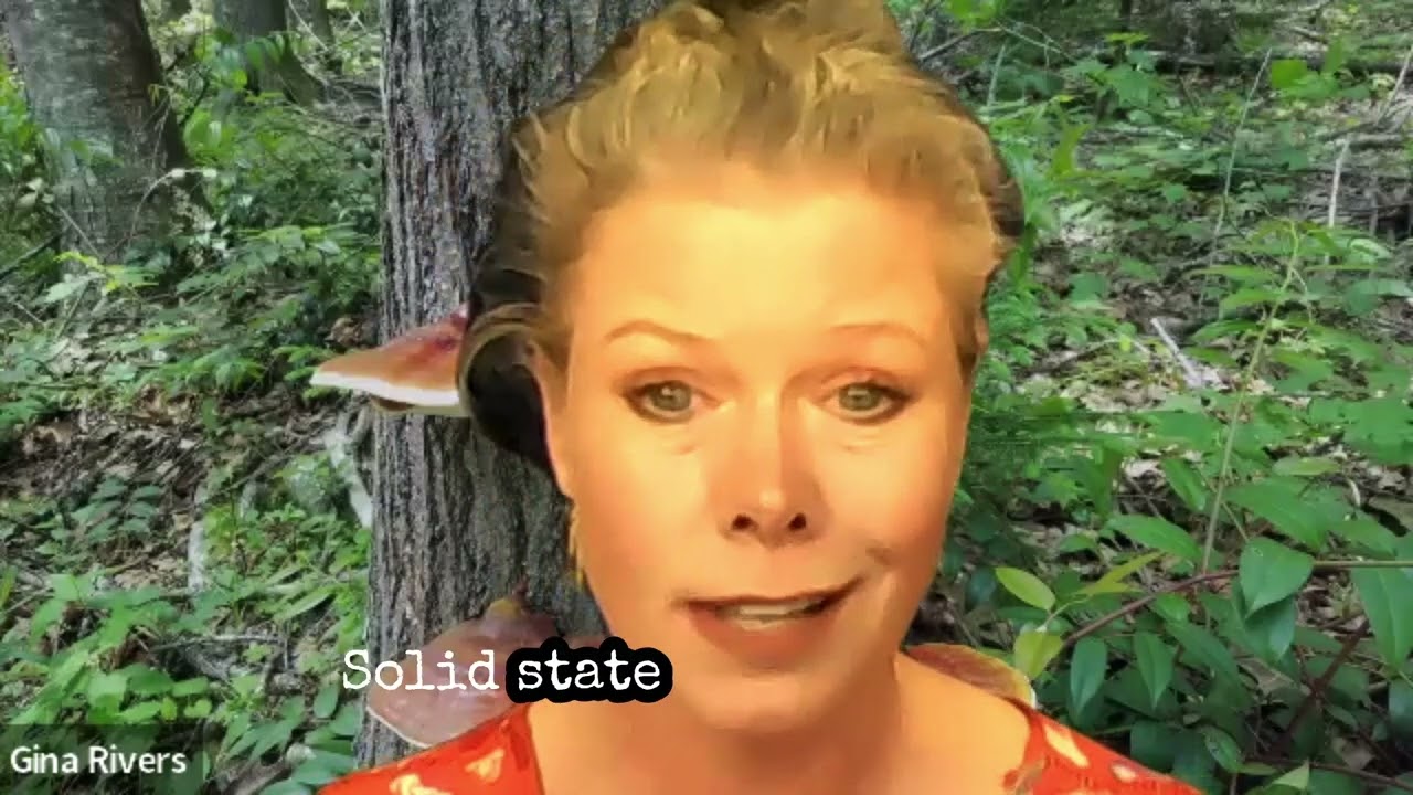 Whole Earth Radio Sn 3, Ep 5 - Gina Rivers of Host Defense Mushrooms