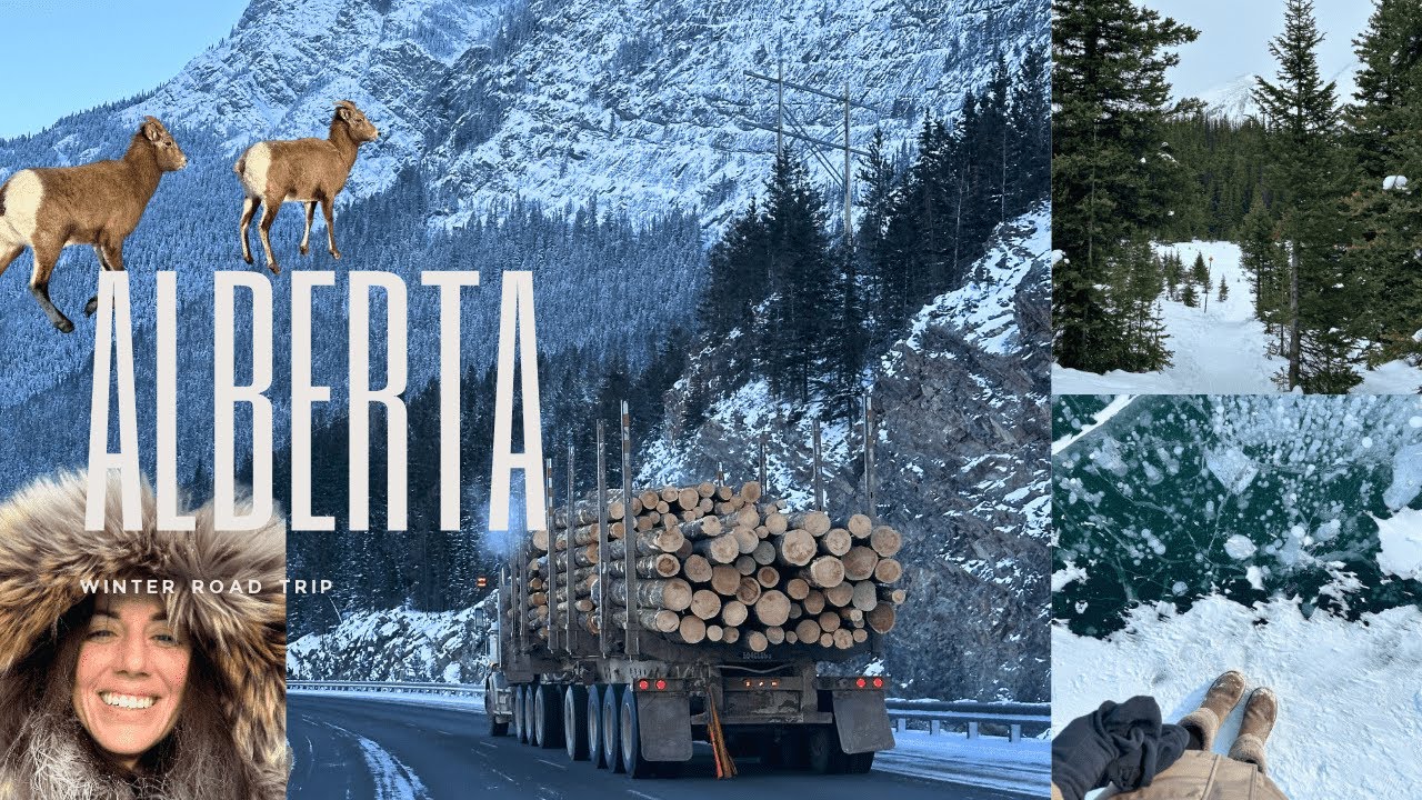 Calgary Vlog | Winter Edition | Hiking + Coffee Shops