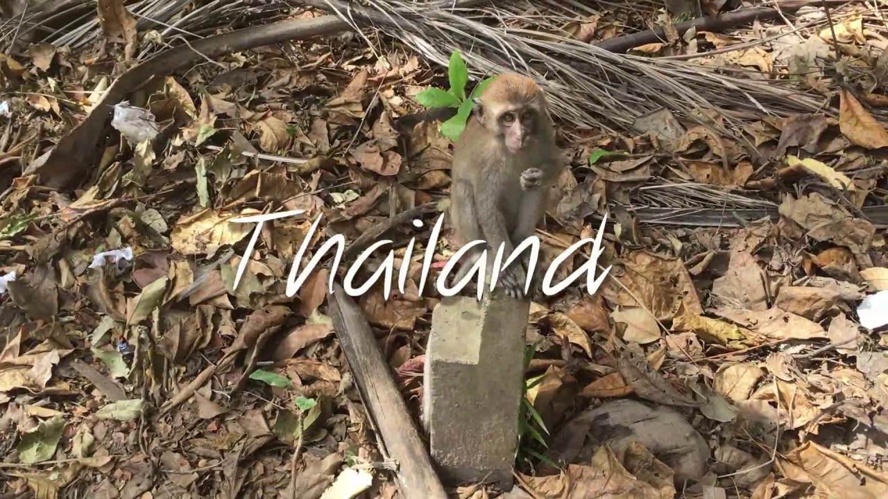 Three weeks in Thailand