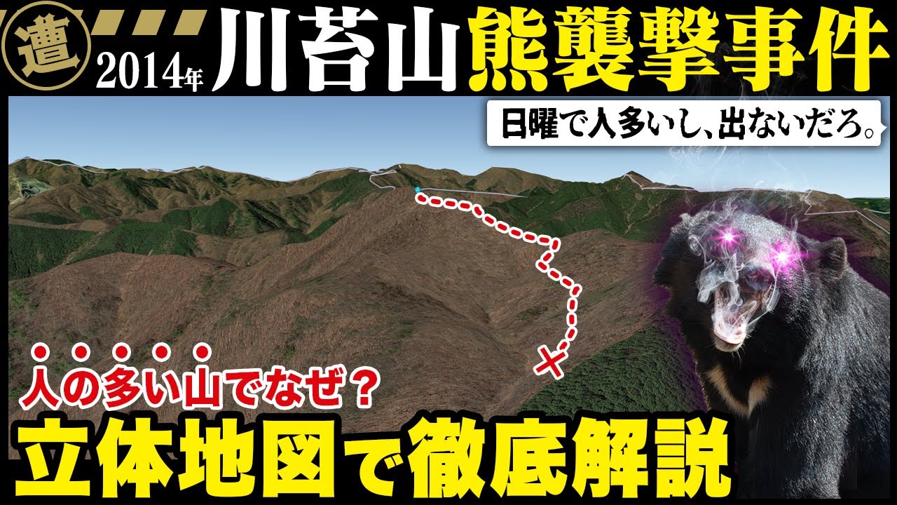 【奥多摩・クマ襲撃事件】人の多い山でなぜ？地形図から徹底解説