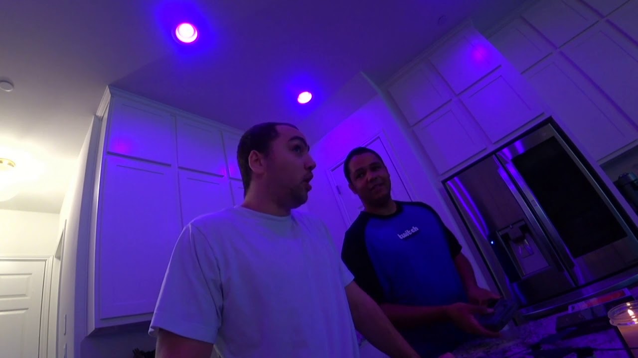 TWITCH PARTY 2020 ft. Sodapoppin, Mizkif, Greek, Maya, Adept, Nmplol, Malena, Ashley (FULL VOD)
