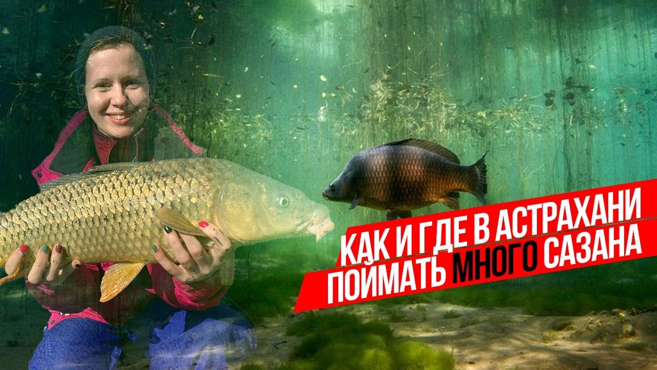 ЛОВИМ САЗАНОВ в АСТРАХАНИ без ПРИКОРМКИ! 🐟 РЫБАЛКА С ДРУЗЬЯМИ! Насадка на карпа бойл с червем?