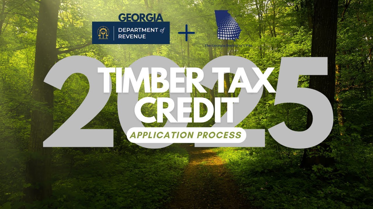 After Hurricane Helene: How to Complete the Application to Secure Your Timber Tax Credit