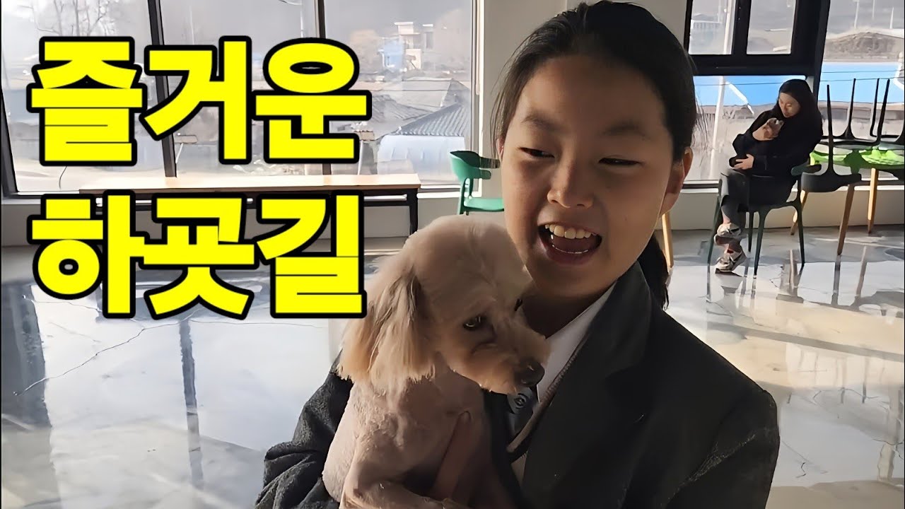 즐거운 하굣길 #애견미용 #다견가족