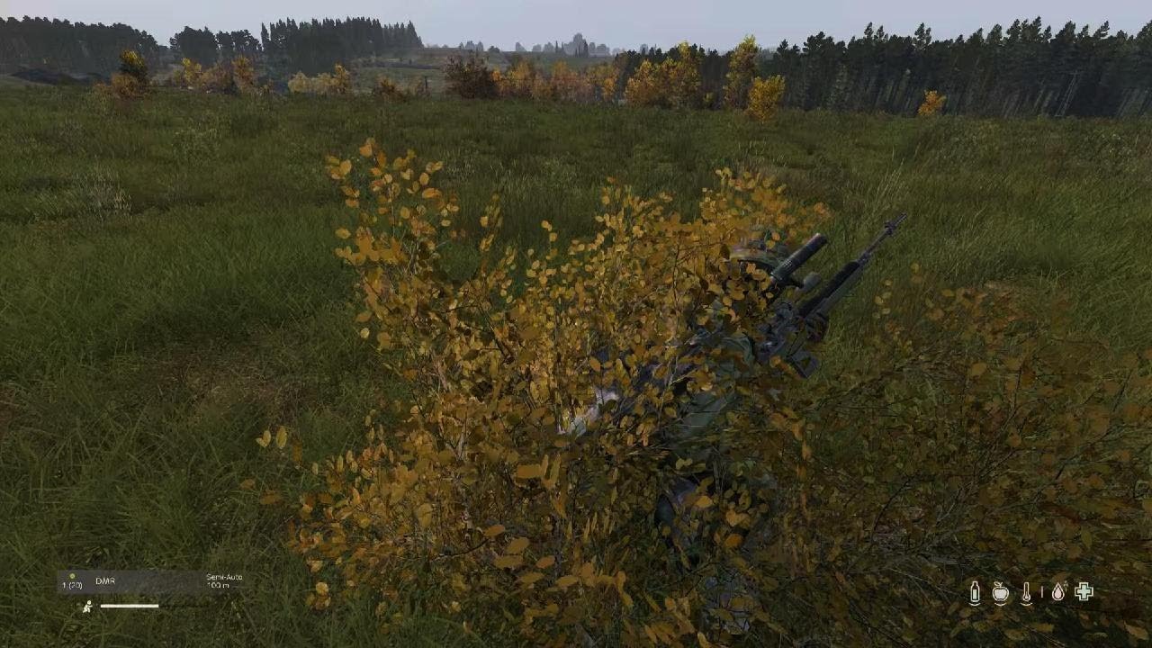 They hit NW for me. Dayz 2 Man