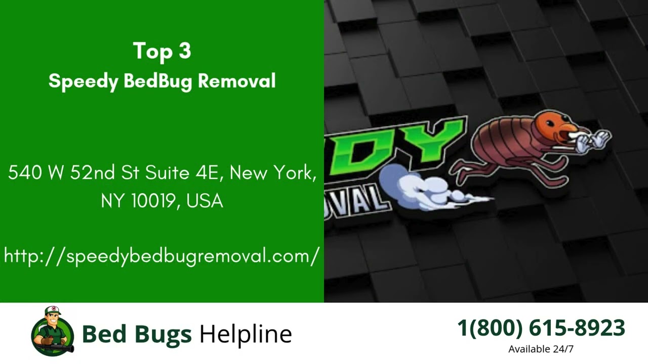 Top 3 Bed Bug Removal in Leoni