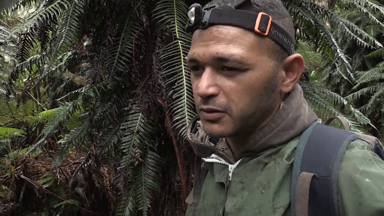 REPORTAGE CHASSE AUX TANGUES