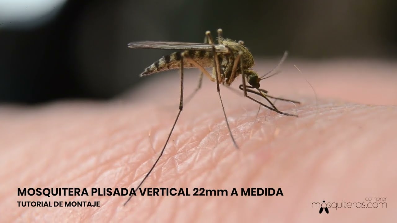 Mosquiteras Plisada vertical