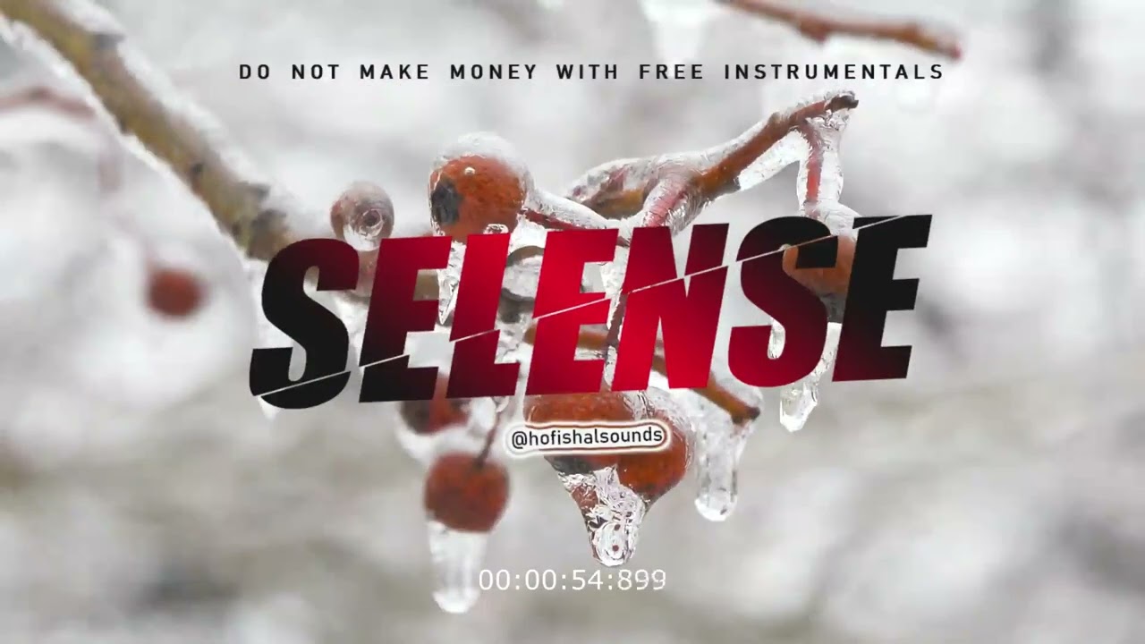 Native Igbo instrumental - 'Selense' (Ugoccie ft. Zoro type beat) | Afrobeat