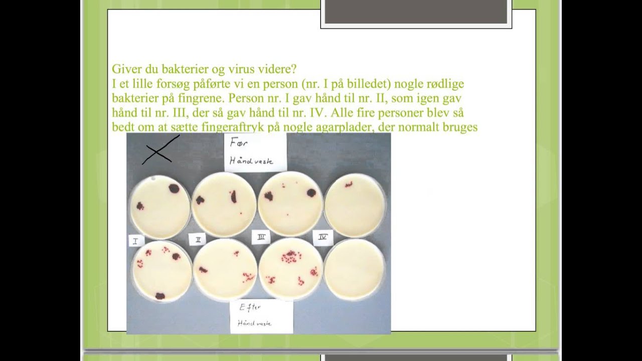 Forebyggelse af smitte