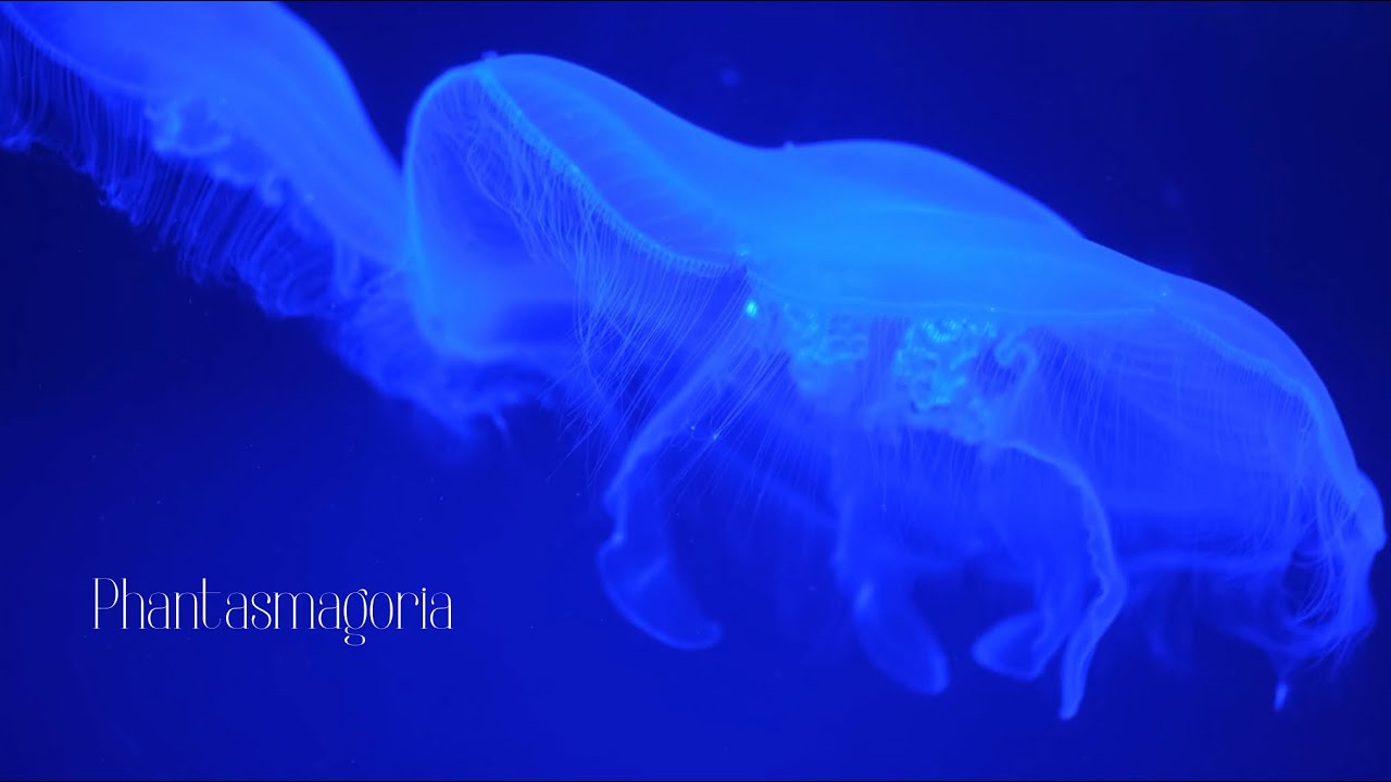 Phantasmagoria