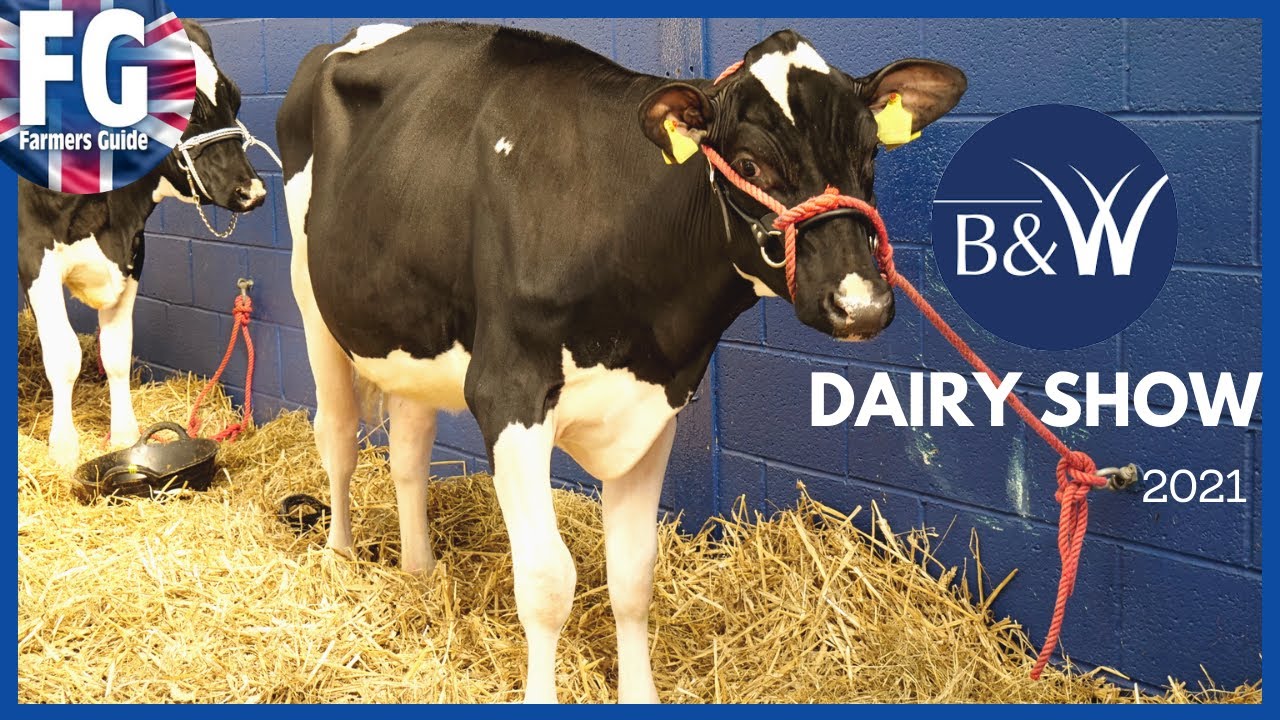 Exhibiting at The Bath & West Dairy Show 2021