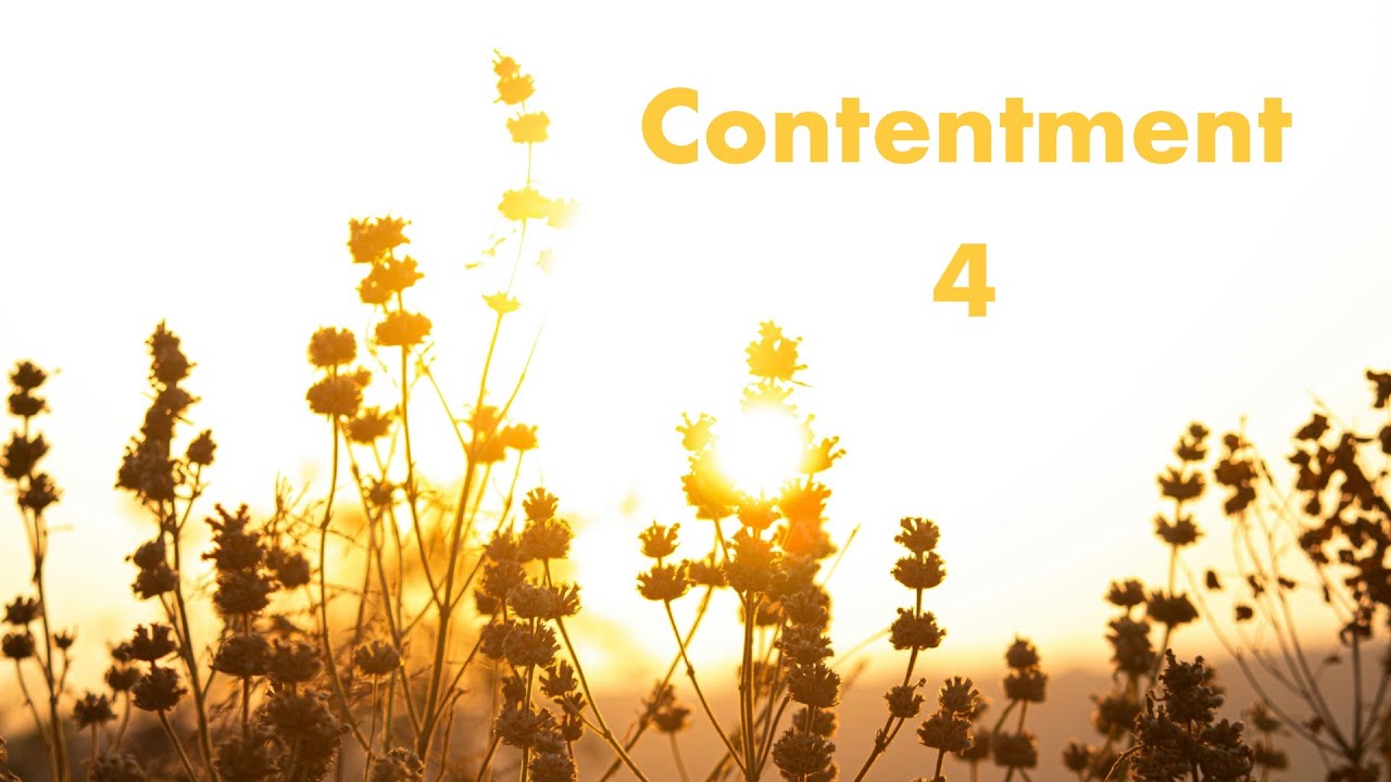 Authentic Contentment - August 3, 2025