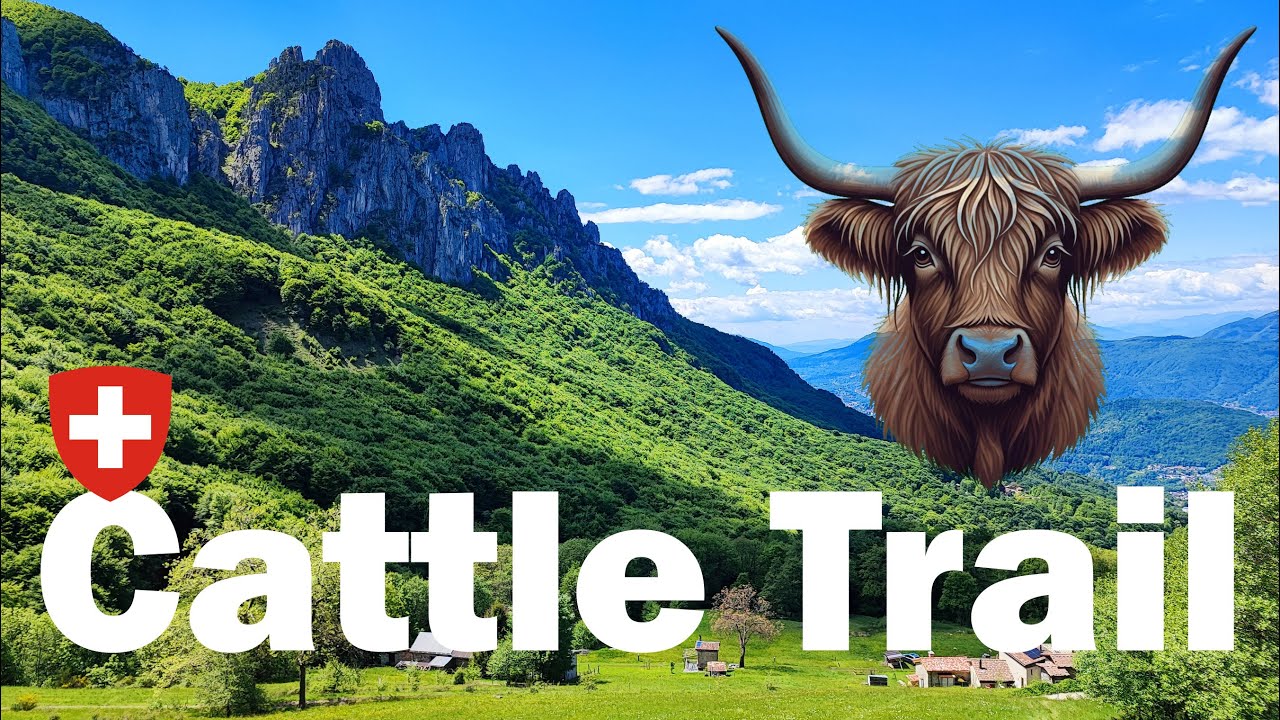 Cattle Trail, giro in eMTB in Val Colla (CH)