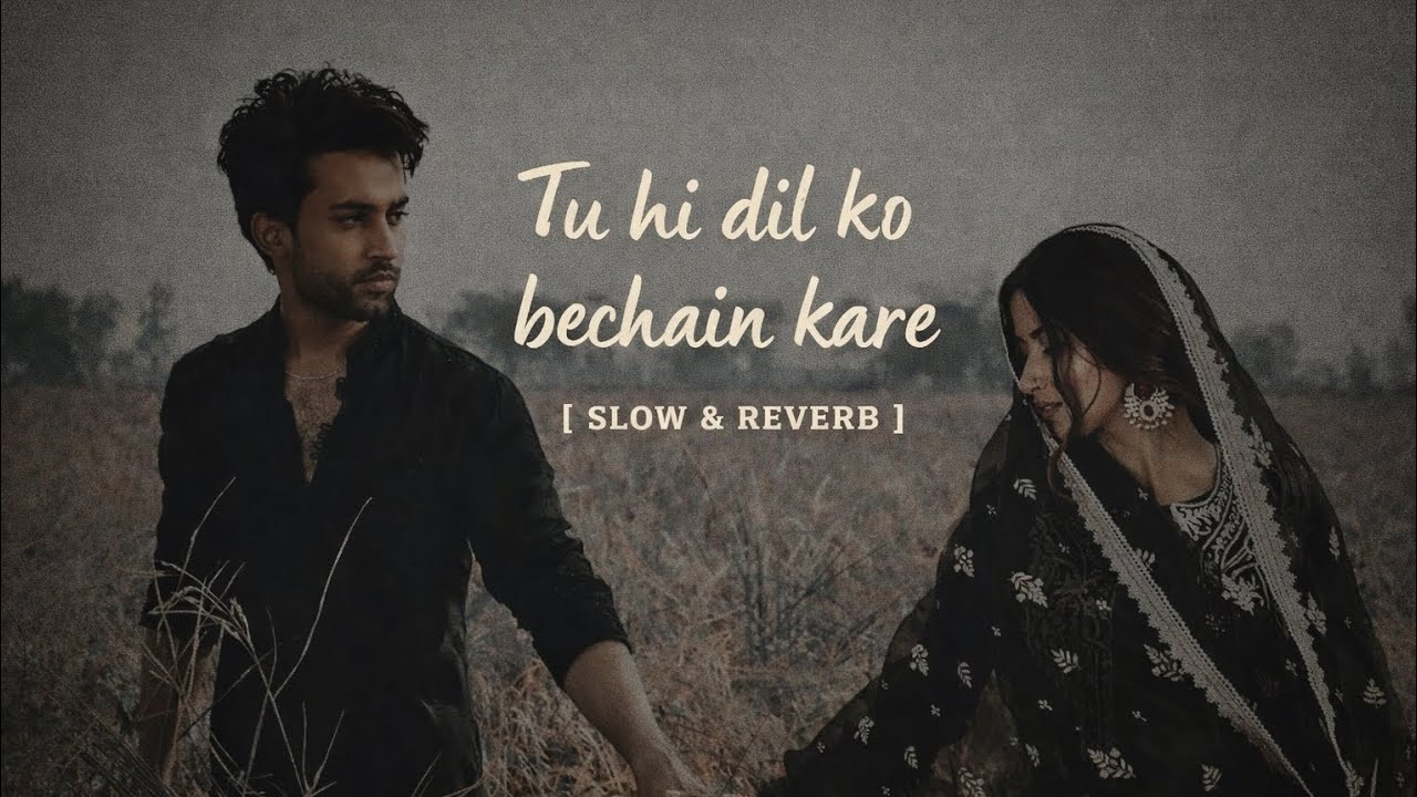 Tu Hi Dil Ko Bechain Kare ❤️ | Romantic Lofi Song | Slow & Reverb | Heart Touching Love