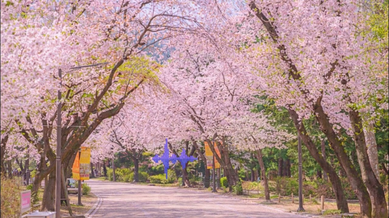 playlist I 나를 치유하는 시간, 따뜻한 봄날을 맞이하며