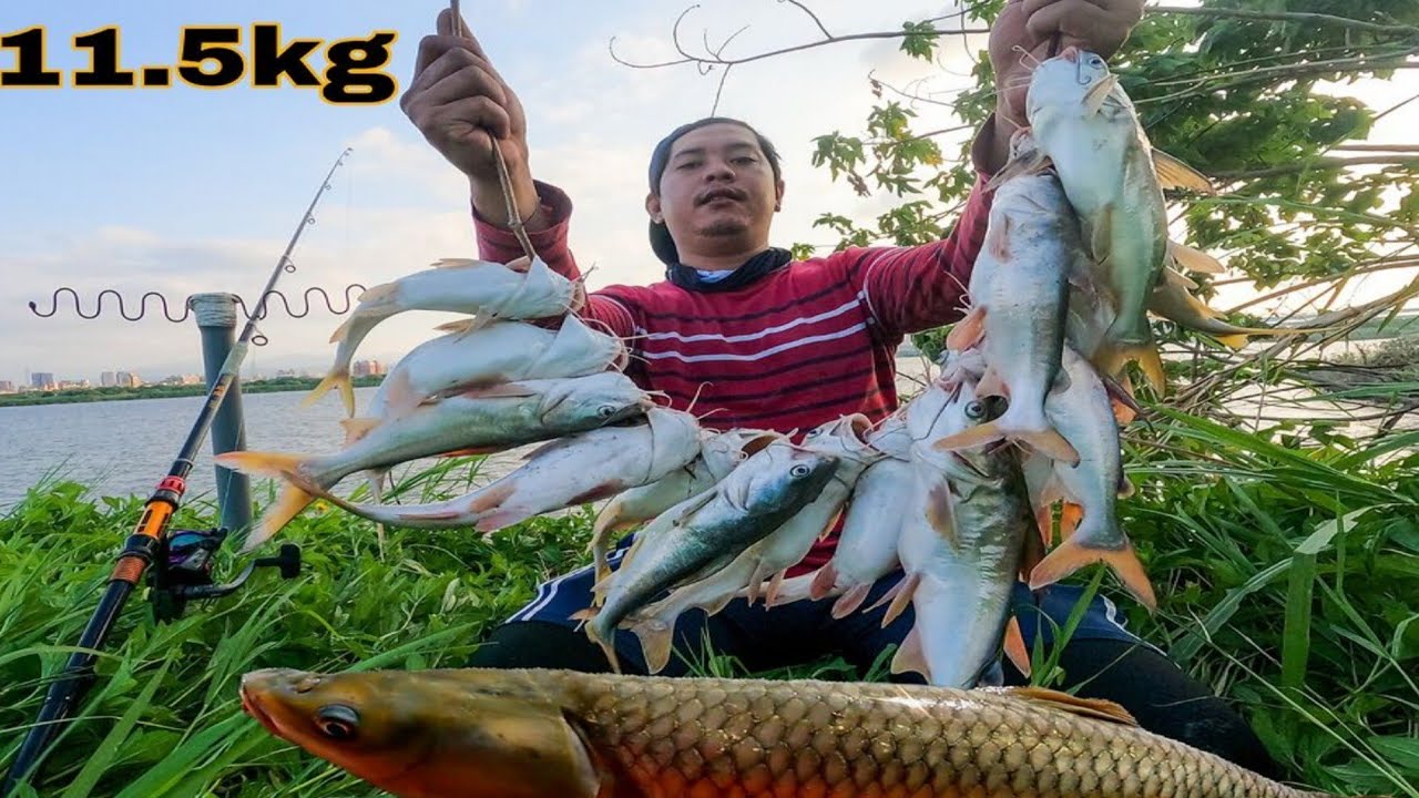 MAGANDANG PAEN PARA SA KARPA AT KANDULI | ANG DAMI NAMEN NAHULING KANDULI AT KARPA