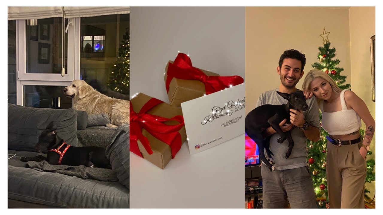 Köpüşlerle Yılbaşı! Minik bir sohbet,yeni girişim,yeme nasıl gidiyor?