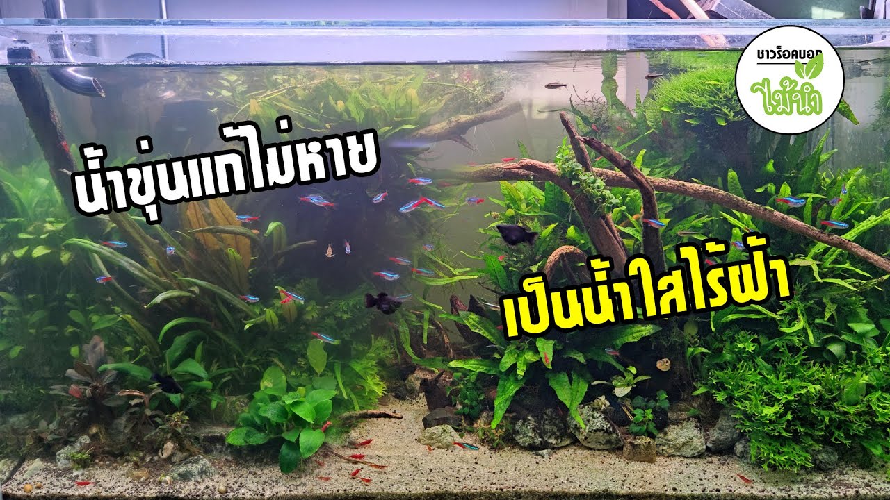 แก้ปัญหาระบบกรองล่ม 