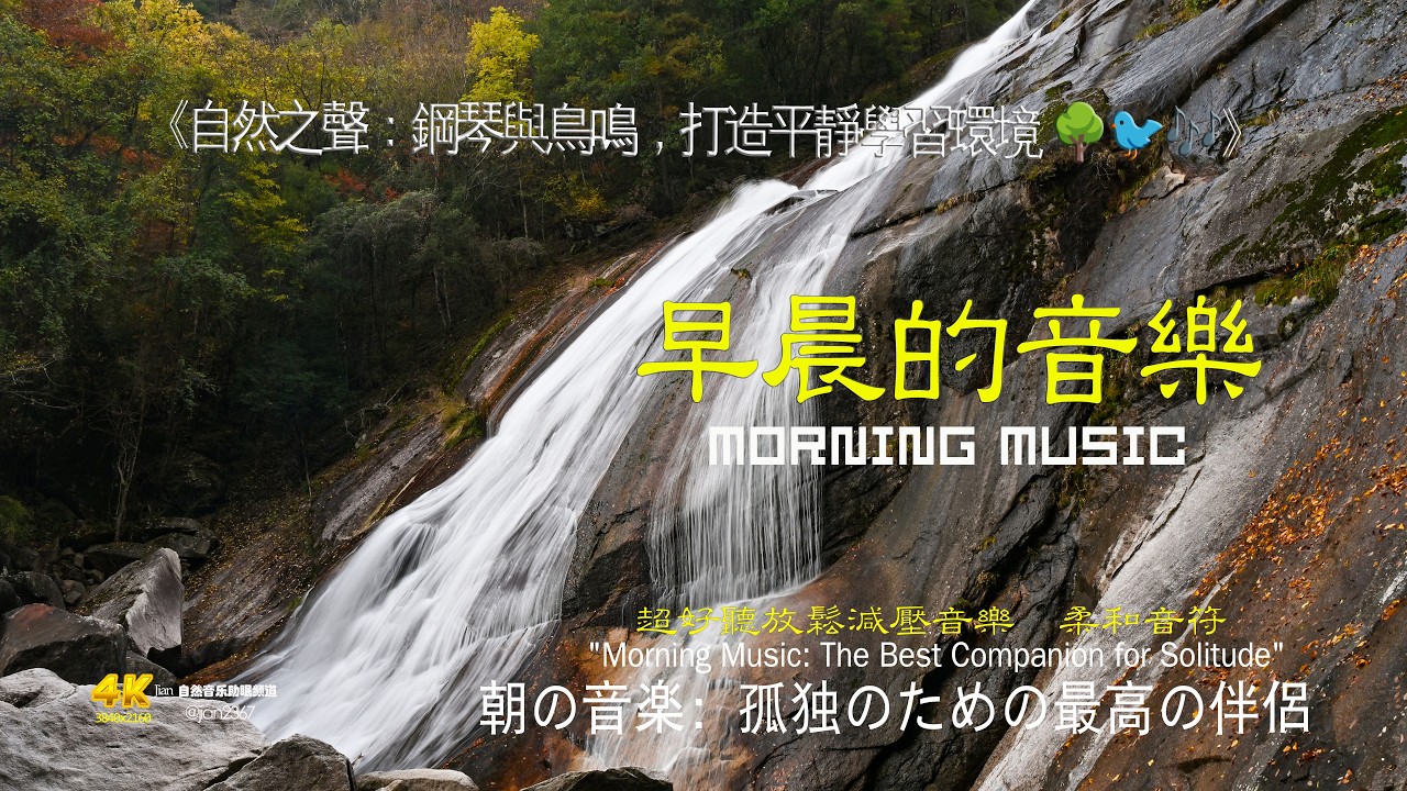 自然之聲：鋼琴與鳥鳴，打造平靜學習環境 🌳🐦🎶 #清晨音樂 #冥想 #睡眠音樂 #輕音樂 #自然聲音#溪流聲 #放鬆 #空靈音樂 #心靈音樂 #深呼吸 #心靈療癒#清晨音樂