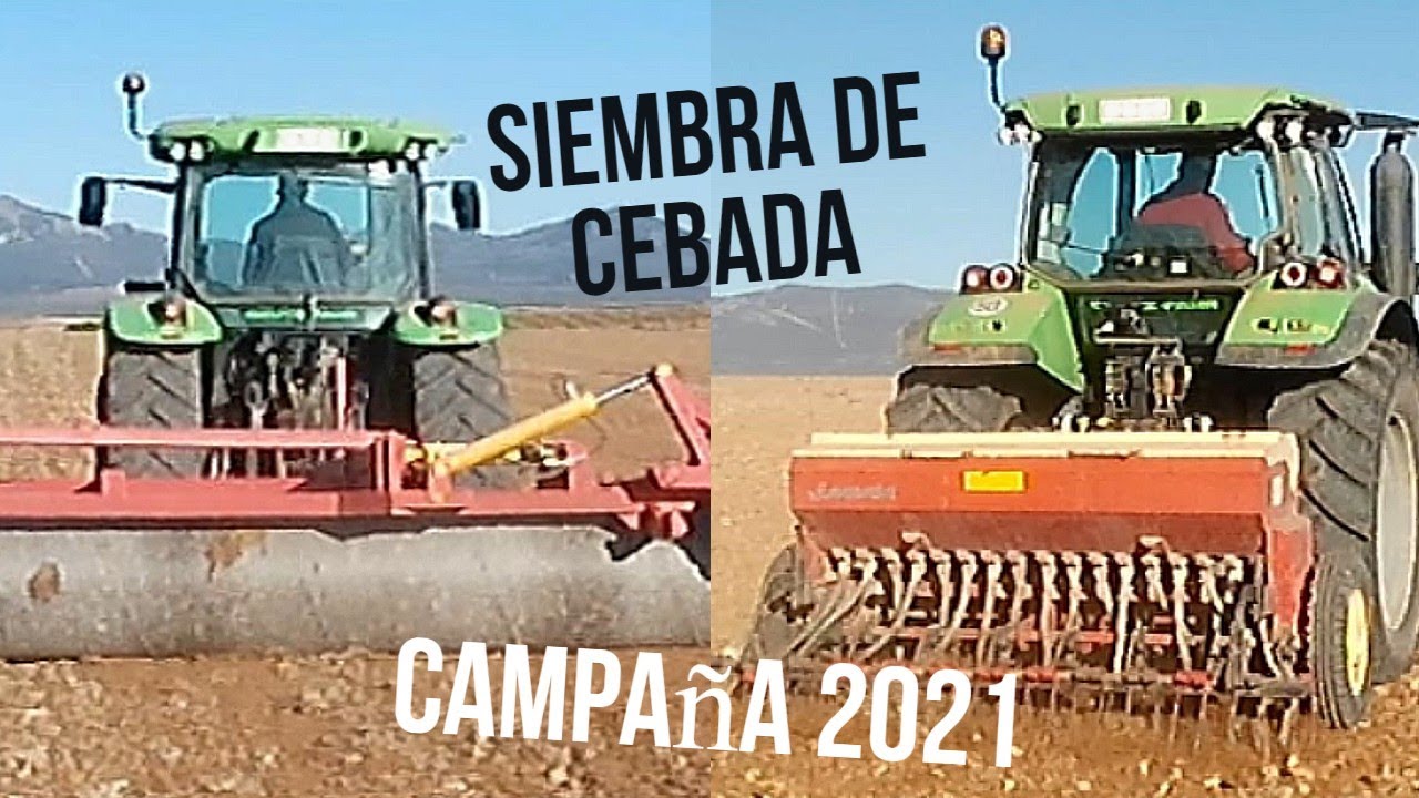 SIEMBRA DE CEBADA, NOVIEMBRE 2021
