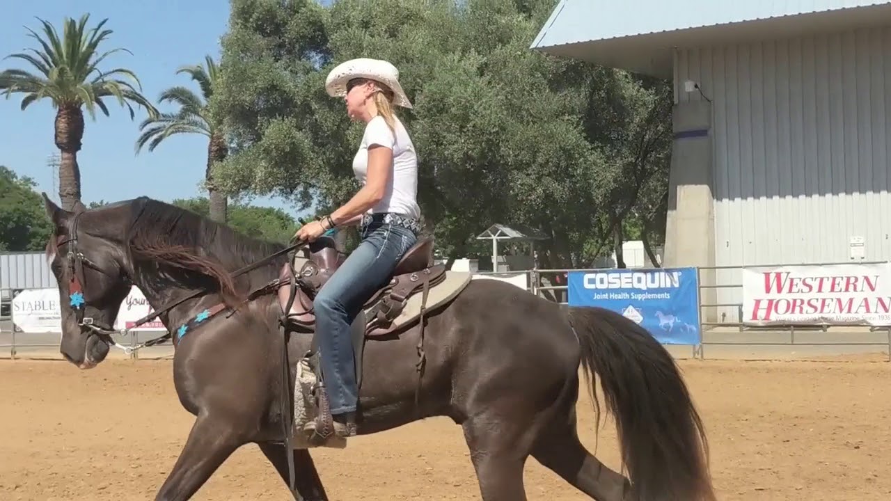 How To Ride A Tennessee Walking Horse - Part 1 - Longer Clip