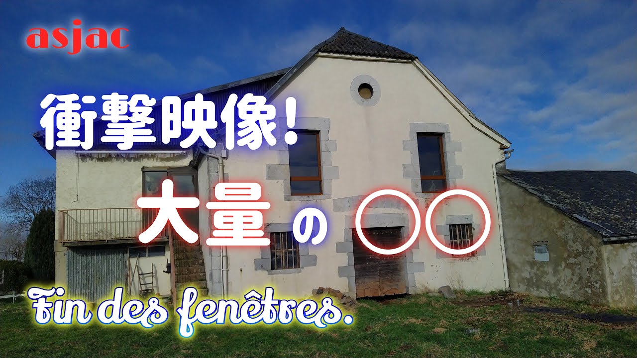 【フランス古民家再生】#97 ショックで倒れそうな現実/殿のキテレツ料理/うちのバカ殿 Fin des fenêtres. #フランス #diy #古民家 #renovation #国際結婚