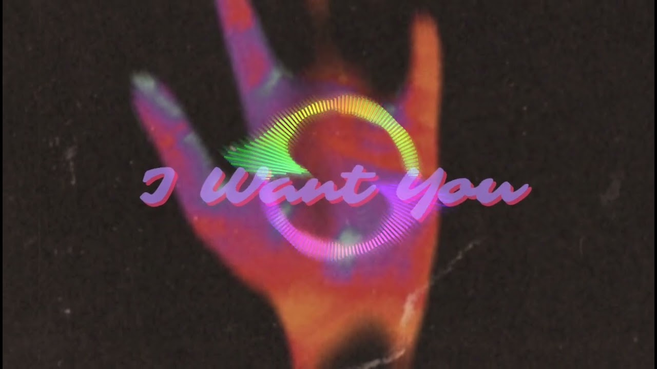 Sam Smyers - Want You (NastyBros & DJ Nacito Remix)